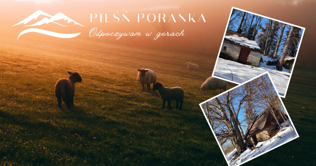Wycieczka do domków pasterskich