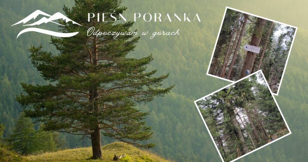 Wycieczka do Limb i domu rekolekcyjnego w Skolarówce